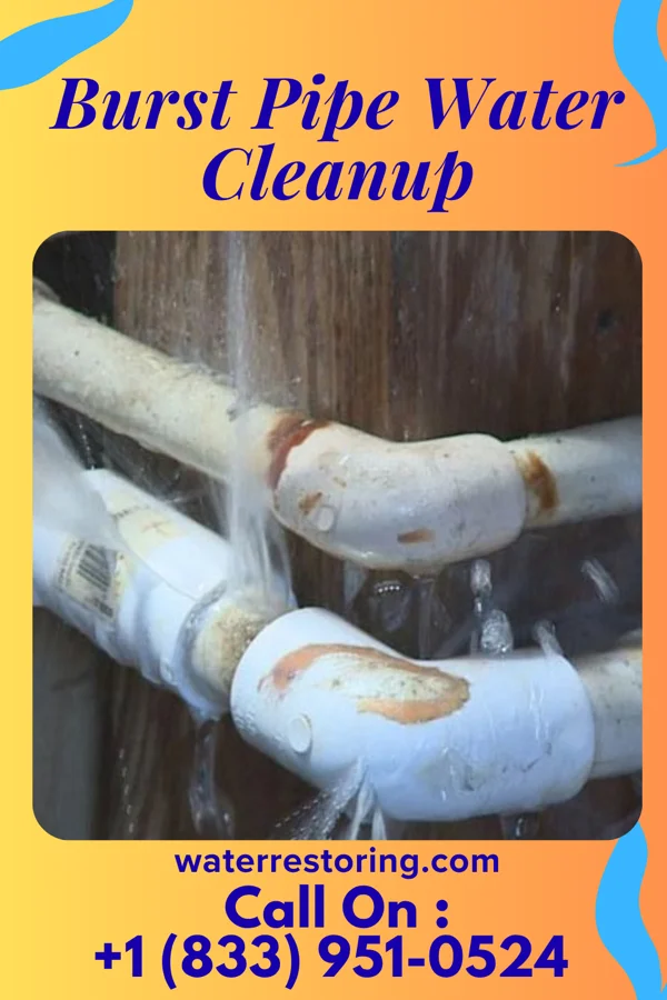 Burst Pipe Water Cleanup in Sebewaing, MI