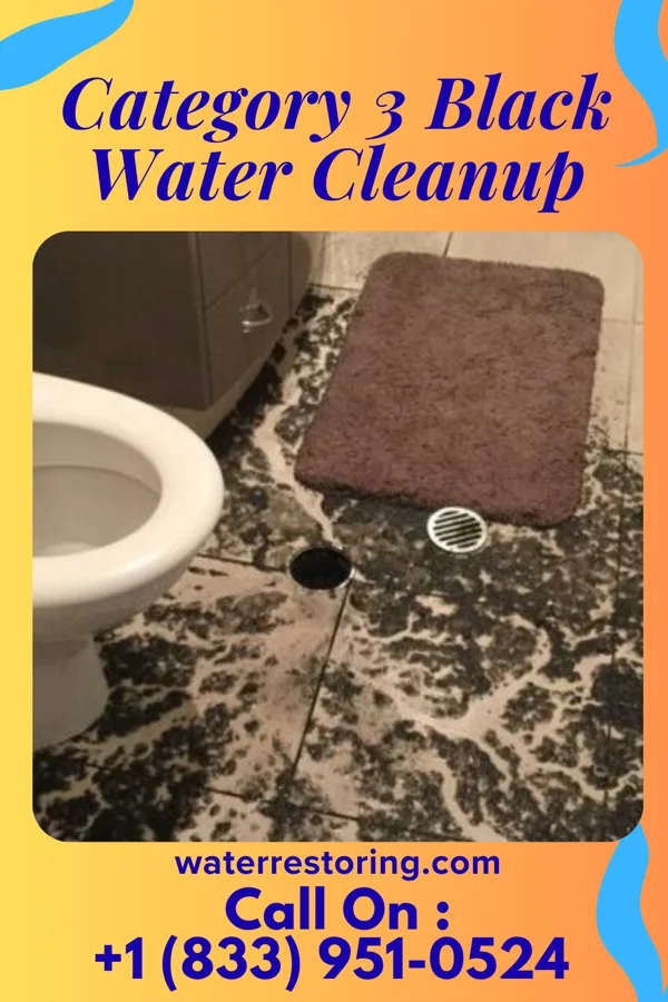 Category 3 Black Water Cleanup in Sebewaing, MI