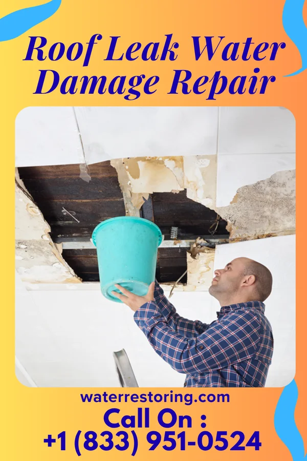 Roof Leak Water Damage Repair in Sebewaing, MI