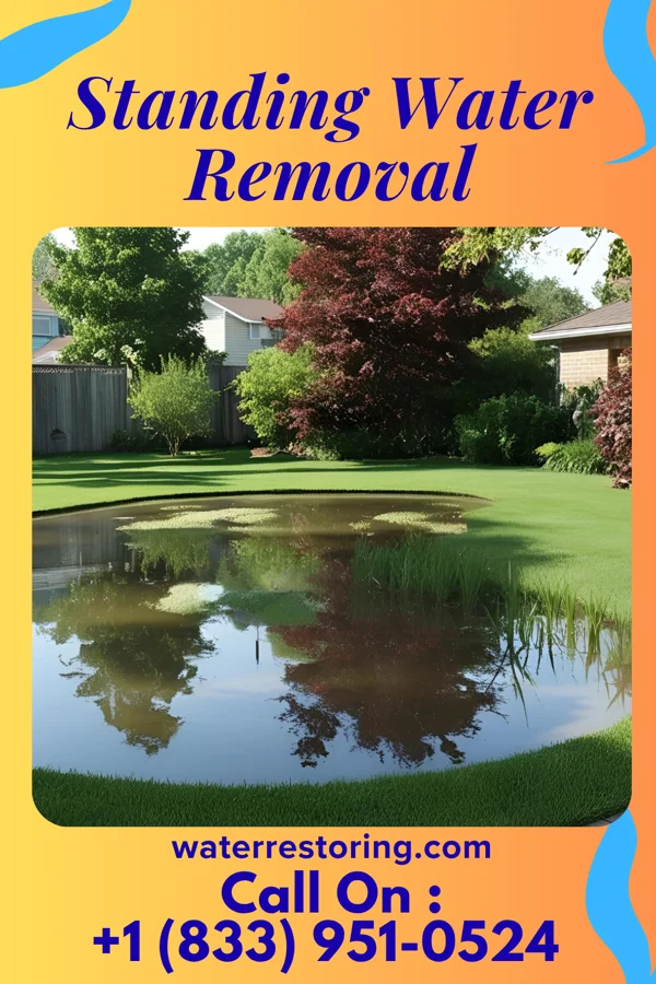 Standing Water Removal in Sebewaing, MI